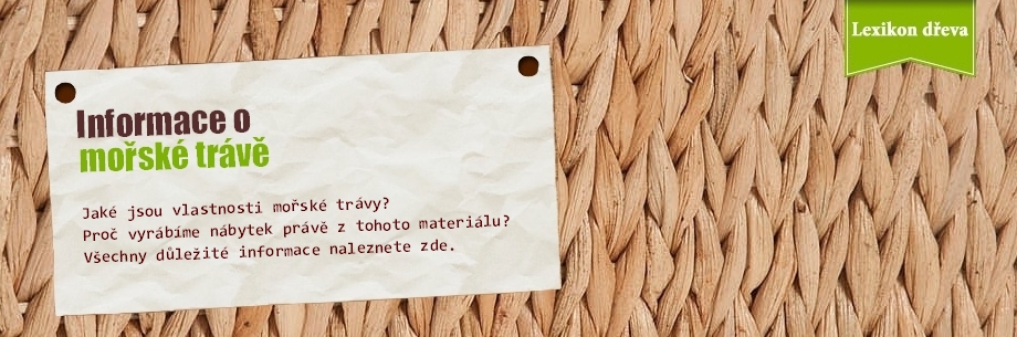 Mořská tráva